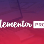 Elementor Pro